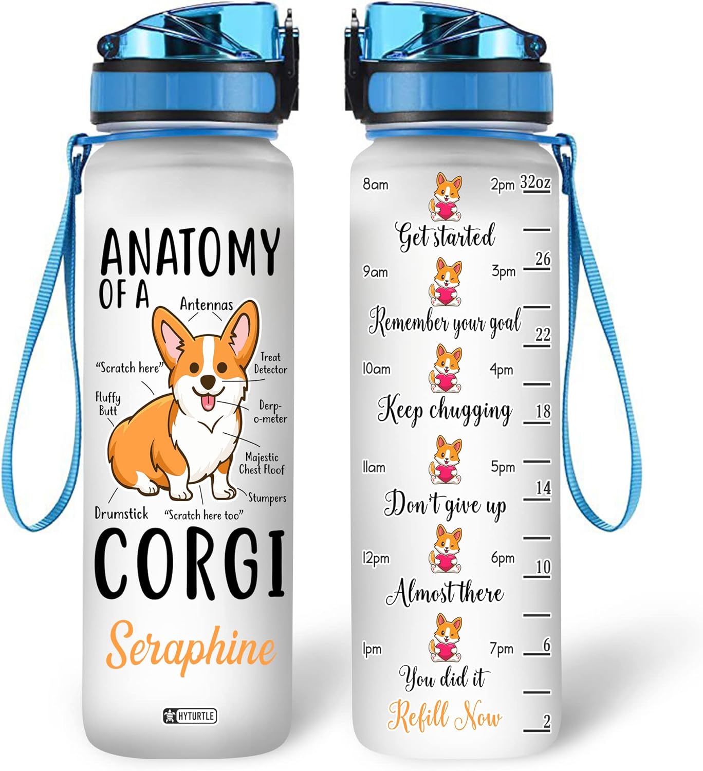 Anatomy Of A Corgi - Personalized Water Tracker Bottle 32oz