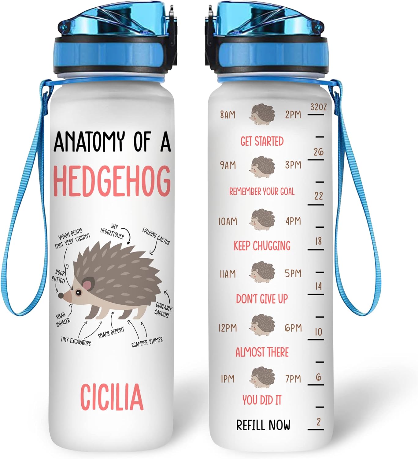 Hedgehog “Anatomy of a Hedgehog” Water Bottle Tracker 32oz – Personalized Motivational Bottle with Time Marker – Educational Gift for Hedgehog Lovers