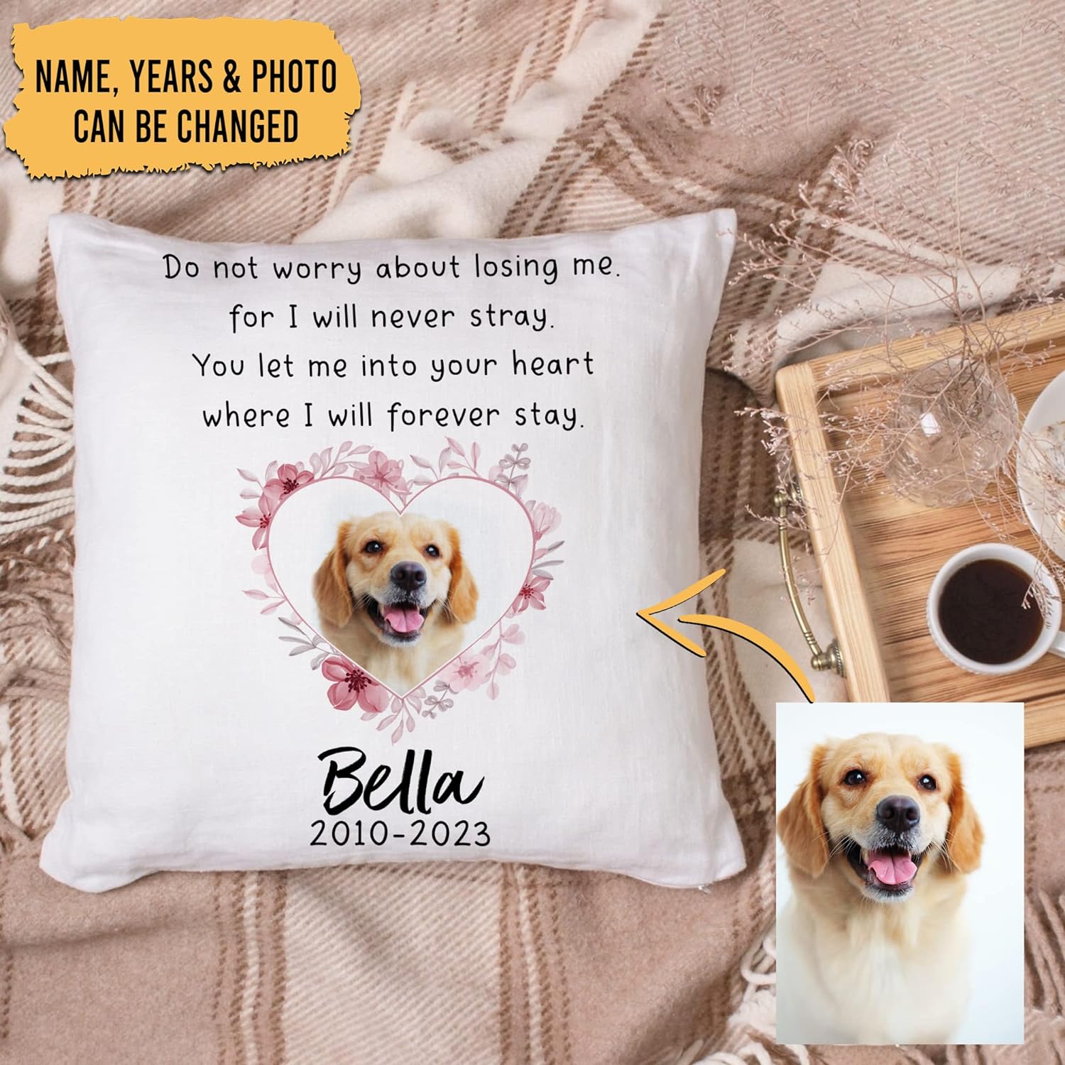 Do Not Worry About Losing Me - Personalized Photo Pillow