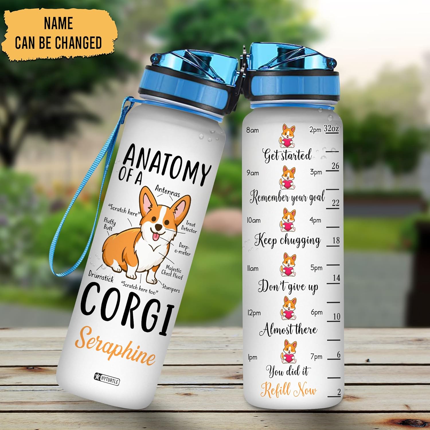 Anatomy Of A Corgi - Personalized Water Tracker Bottle 32oz