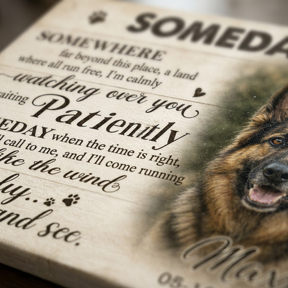 Personalized German Shepherd Memorial Wall Canvas - Dog Loss Remembrance Keepsake Gift - Image 5 | WCV-12X8-EHIEU_AI_0032 WCV-14X11-EHIEU_AI_0032 WCV-18X12-EHIEU_AI_0032 WCV-20X16-EHIEU_AI_0032 WCV-24X16-EHIEU_AI_0032 WCV-24X20-EHIEU_AI_0032 WCV-30X20-EHIEU_AI_0032 WCV-30X24-EHIEU_AI_0032 WCV-36X24-EHIEU_AI_0032 WCV-40X30-EHIEU_AI_0032